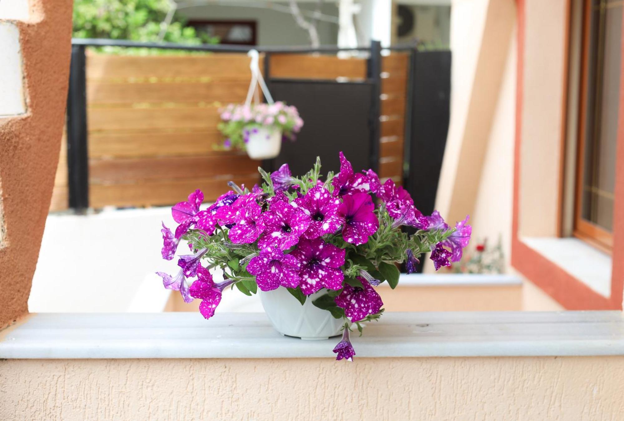 Vila Feliz - Premium Rooms With Free Private Parking Vlorë Εξωτερικό φωτογραφία