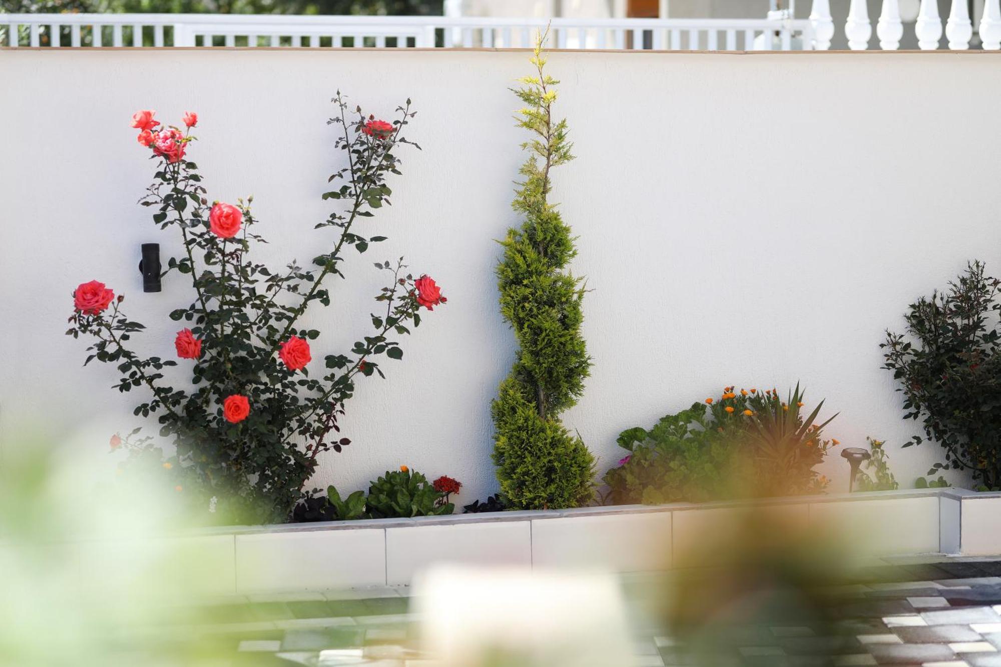 Vila Feliz - Premium Rooms With Free Private Parking Vlorë Εξωτερικό φωτογραφία