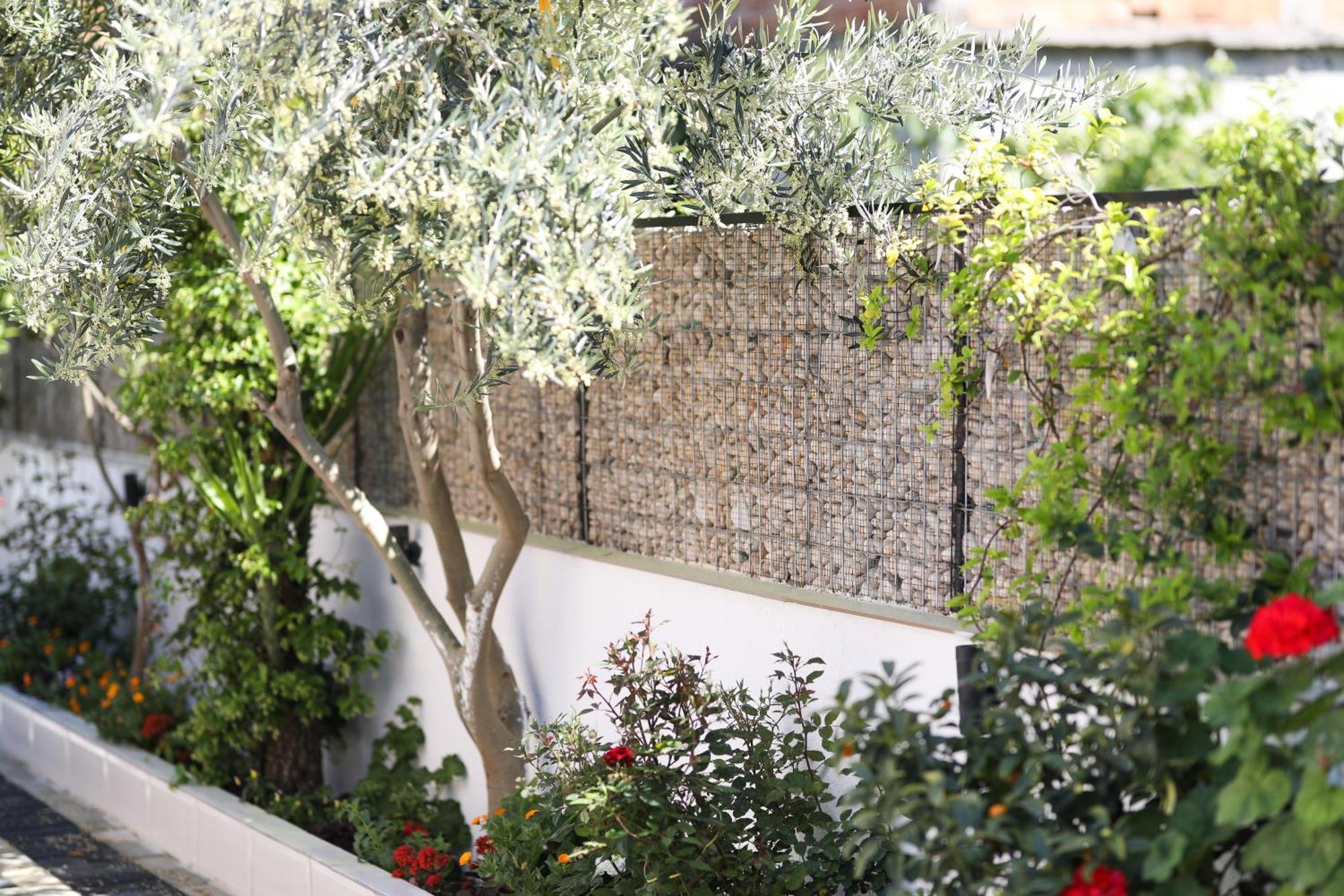 Vila Feliz - Premium Rooms With Free Private Parking Vlorë Εξωτερικό φωτογραφία